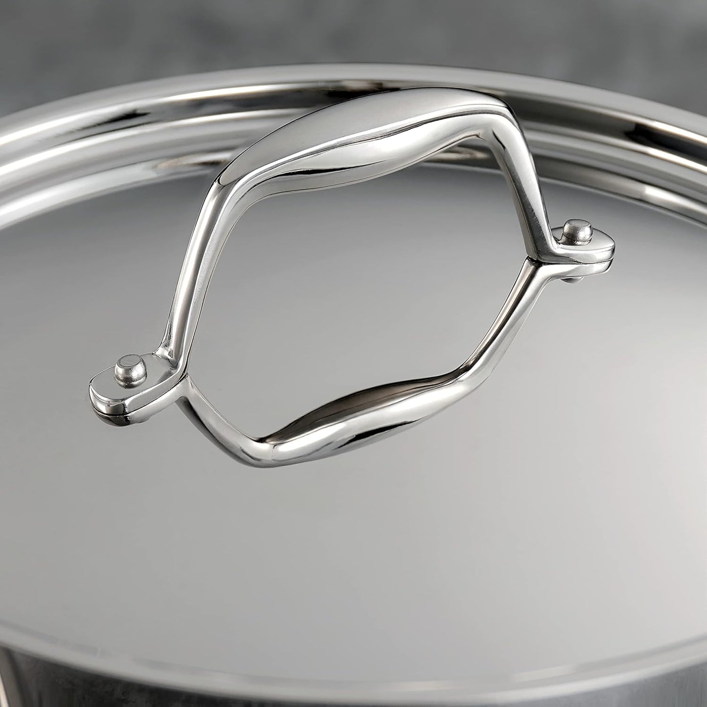 80116/248DS Gourmet 18/10 Stainless Steel Induction-Ready Tri-Ply Clad 10-Piece Cookware Set, Stainless