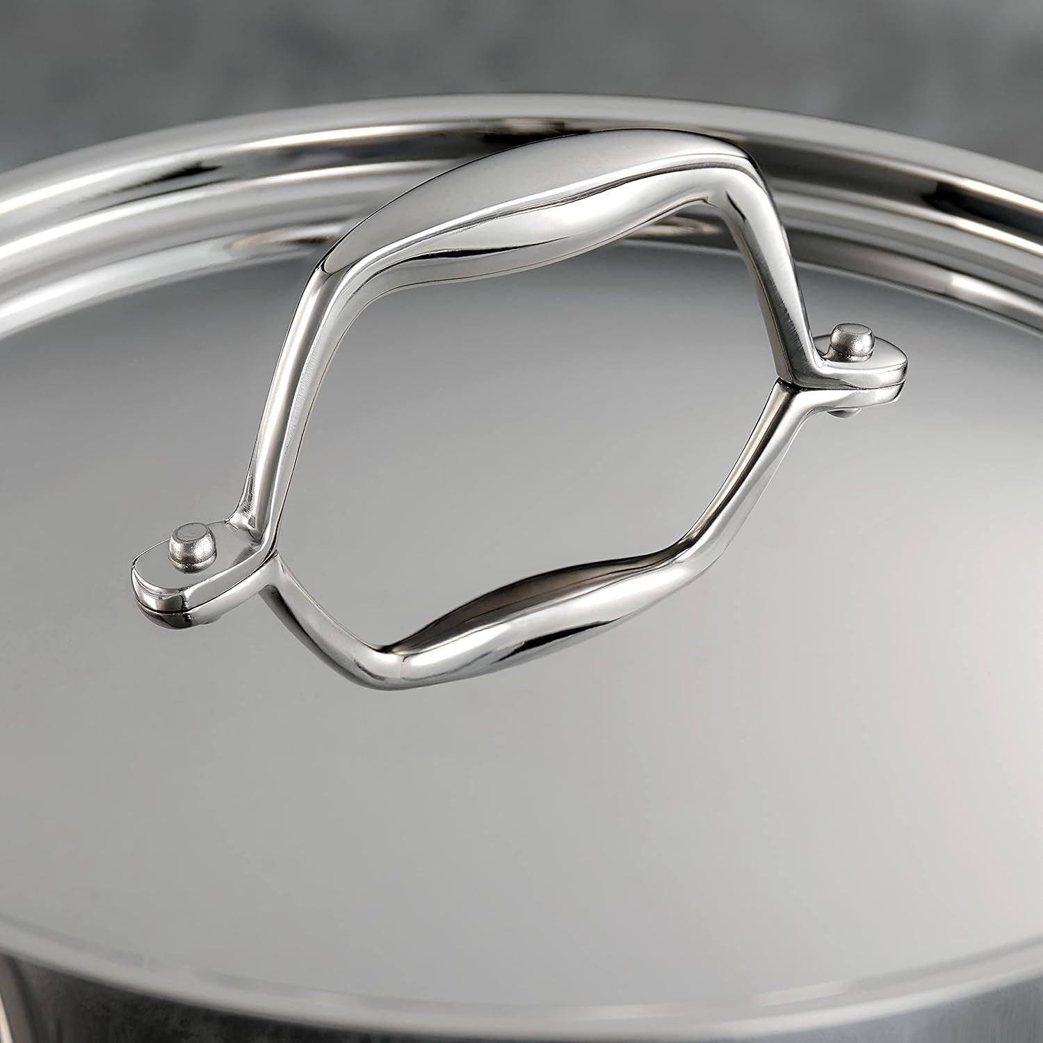 80116/248DS Gourmet 18/10 Stainless Steel Induction-Ready Tri-Ply Clad 10-Piece Cookware Set, Stainless