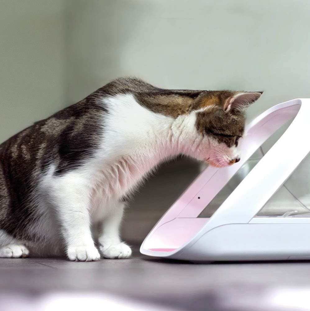 Sure Petcare Surefeed Microchip Pet Feeder Connect - Selective Pet Feeder - Great for Pets on Prescription or Weight Management Diets - Integrated Scales - Data Pushed to Smartphone