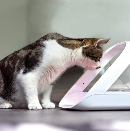 Sure Petcare Surefeed Microchip Pet Feeder Connect - Selective Pet Feeder - Great for Pets on Prescription or Weight Management Diets - Integrated Scales - Data Pushed to Smartphone